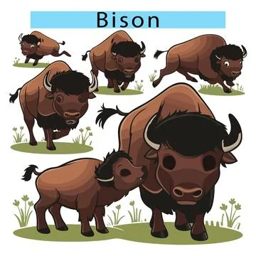 Bison cartoon image, Bison vector art, Playful cartoon Bison Stock Illustration