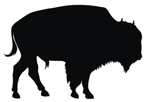 Bison Stock Illustration