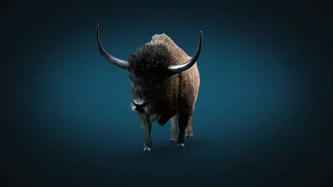 Bison Latifrons Vídeo Stock 125170063