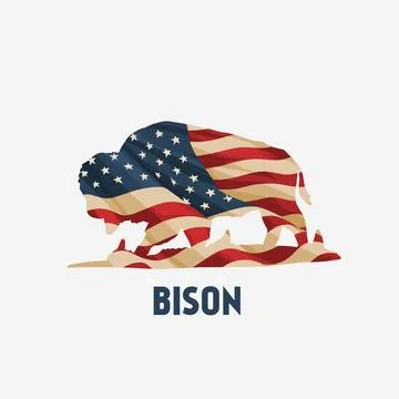 Bison Power with Flag USA Pattern in Vintage Grunge Stock Illustration