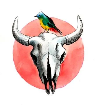 Bison skull and bird Stock Illustration
