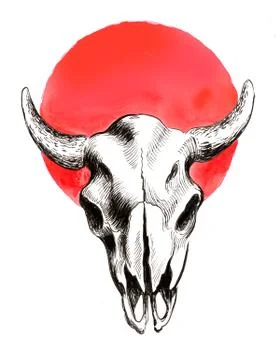 Bison skull and red sun Stock Illustration