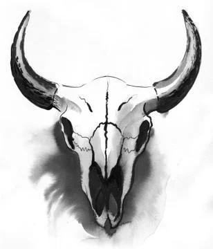 Bison skull Stock Illustration
