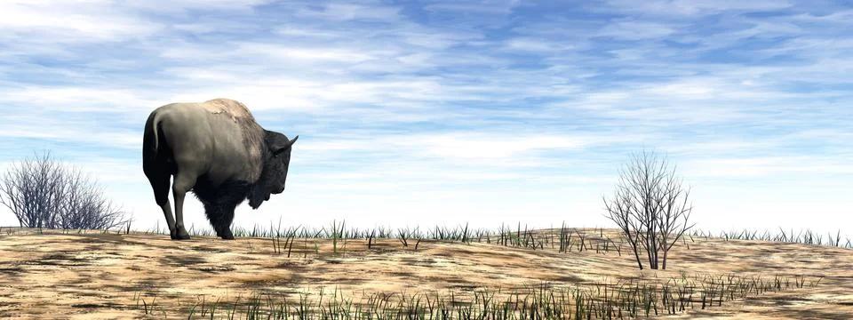 Bison standing in the desert - 3D render Stock Illustration