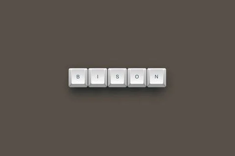 Bison text on a 3d keyboard button with shadow concept series Stock Illustration