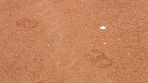 Bison Tracks. Hot Spring. Midway Geyser Basin. Yellowstone National Park Stock Footage 318596167