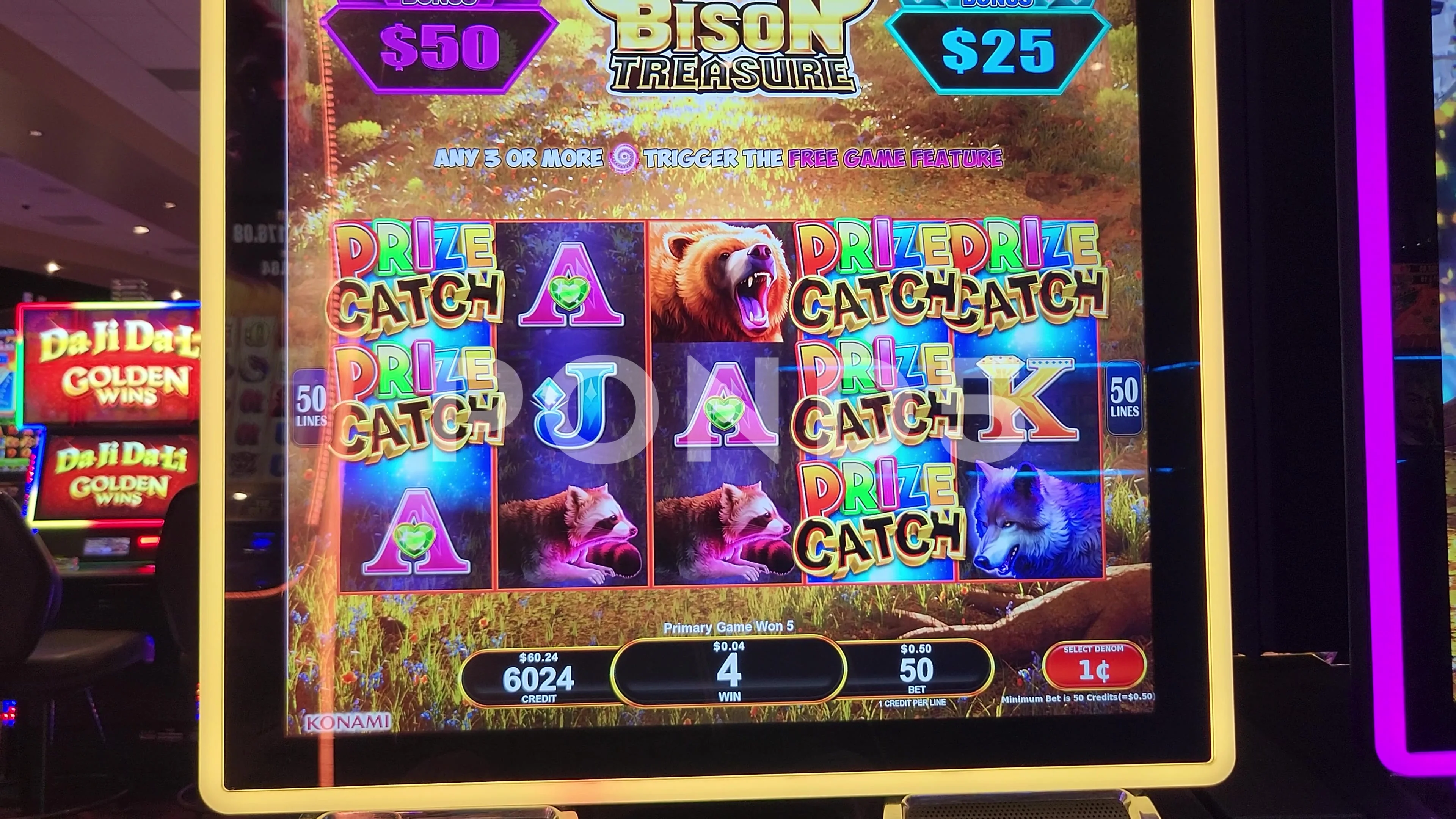 Bison Casino élmény