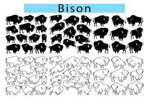 Bison vector art, Bison outline drawing, Bison silhouette vector Stock Illustration