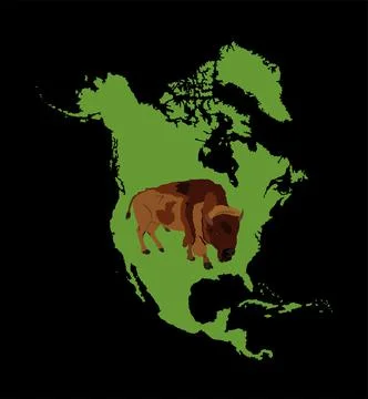 Bison vector illustration isolated on Northern America map Ilustração Stock