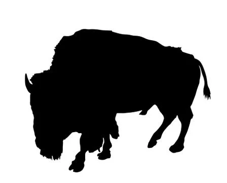 Bison vector silhouette isolated on white, Buffalo male Illustrazione stock
