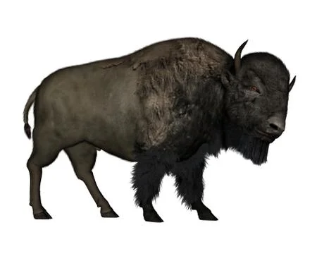 Bison walking - 3D  render Stock Illustration