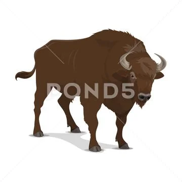 Bison wild mammal, hunting sport Stock Illustration