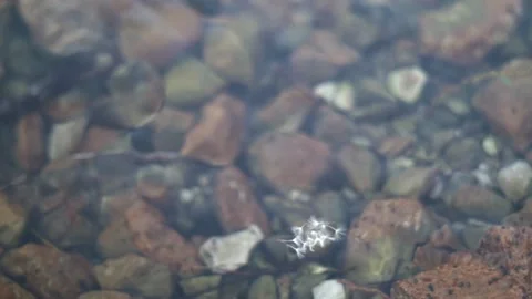 Bisotun Lake Vídeo Stock 235981792