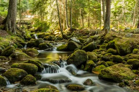 Bistritca river Stock Photos