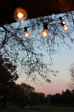 Bistro Lights Фото