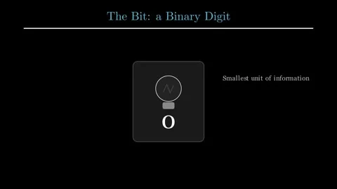 Bit Byte Word - The atoms of digital memory Stock Footage 340871447