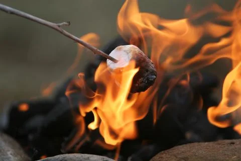 A bit overdone Stock-Fotos