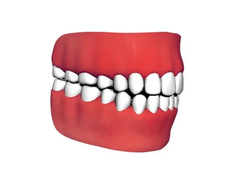 Bit with red gums and flawless white teeth Stock Illustration