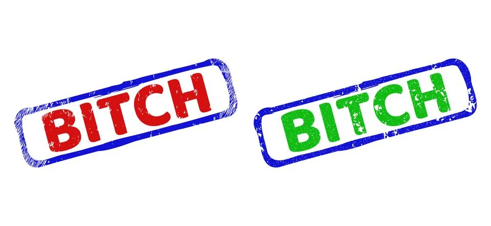 BITCH Bicolor Rough Rectangle Stamp Seals with Grunged Textures Illustrazione stock