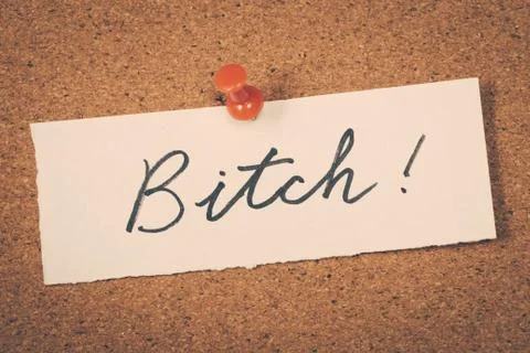 Bitch Stock Photos