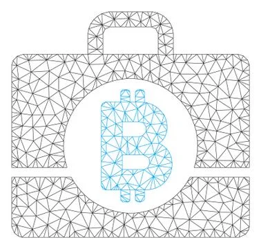 Bitcoin Accounting Case Vector Mesh Network Model 스톡 일러스트