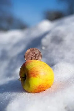 Bitcoin in an apple in the snow close-up. Stock Photos