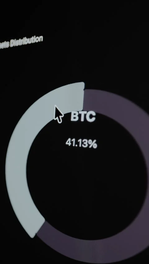 Bitcoin asset distribution chart with value of 41.13 percent Stock Footage 328850749