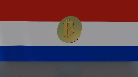 Bitcoin bouncing and spinning in front of Flag of Paraguay Stock Footage 234652826