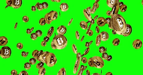 Bitcoin BTC cryptocurrency golden coin rain isolated loop on green screen Stock Footage