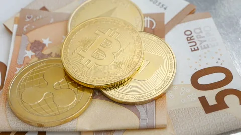 Bitcoin BTC, Ethereum ETH, DASH, coins rotating, payment system, cash 50 euro, Stock Footage 97309334