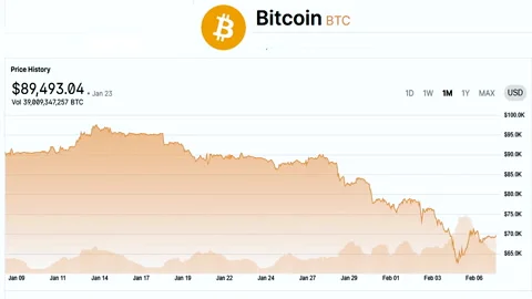 Bitcoin BTC price chart showing monthly decline and volatility Stock Footage 334945665