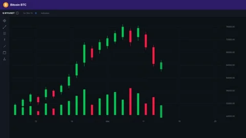 Bitcoin Candlestick Chart Animation - Cryptocurrency Trading Interface Stock Footage 341852284