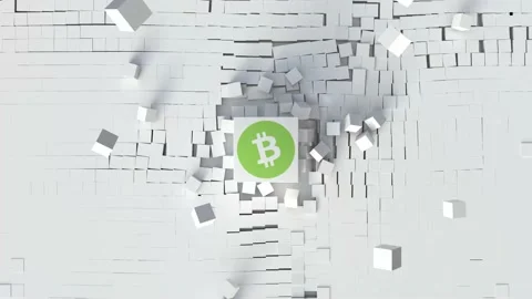 Bitcoin Cash Stock-Footage 165499637