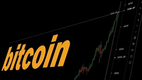 Bitcoin Chart Rising All Time High 動画素材 81896110