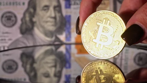 Bitcoin Coin on a Background of Dollars Stock Footage 260812366