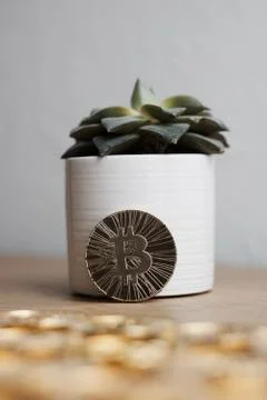 Bitcoin coin cryptocurrency Stock Photos