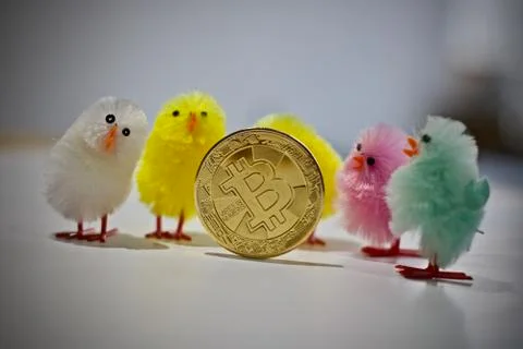 Bitcoin coin easter concept Stock Photos
