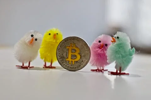 Bitcoin coin easter concept Stock Photos