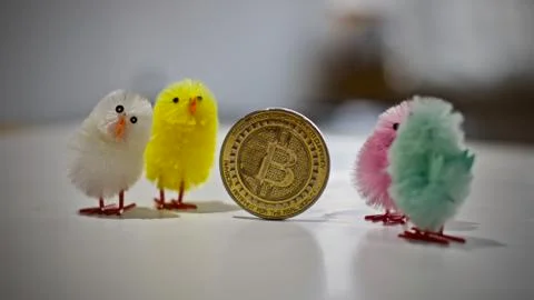 Bitcoin coin easter concept Stock Photos
