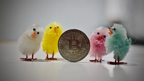Bitcoin coin easter concept Stock Photos
