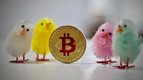 Bitcoin coin easter concept Stock Photos