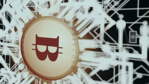 Bitcoin coin illustration surrounded by a digital circuit board network Stock Footage 333449902
