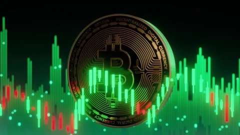 Bitcoin Coin with Market Chart Background Stock Footage 274178396