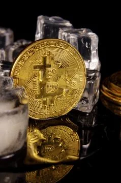 Bitcoin coin surrounded by ice cubes as a concept of restrictions 스톡 사진