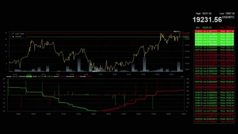 Bitcoin crypto timelaps trading Stock Footage 206386572