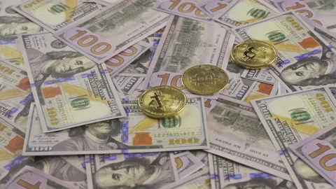 Bitcoin cryptocurrency and US dollar cash. Making money with bitcoin. Stock-Footage 219707343