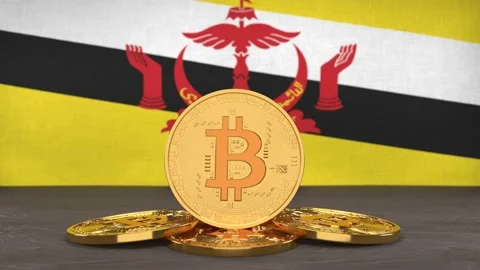 Bitcoin cryptocurrency on the background of the flag of Brunei Stock-Footage 166151941