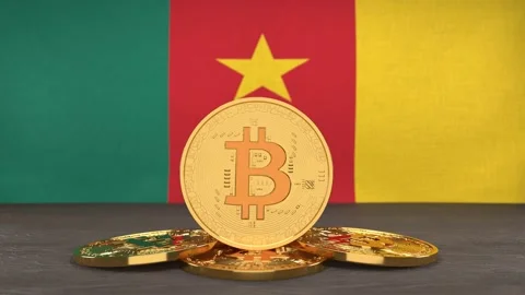 Bitcoin cryptocurrency on the background of the flag of Cameroon Stock Footage 166151951