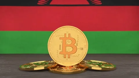 Bitcoin cryptocurrency on the background of the flag of Malawi Stock-Footage 166152080