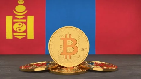 Bitcoin cryptocurrency on the background of the flag of Mongolia Stock-Footage 166152090